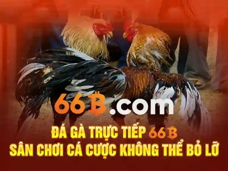 trang web 66b có thật không: Khám phá và trải nghiệm