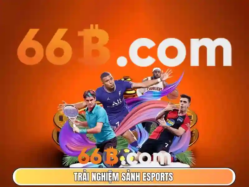 66B: Mô hình ngôn ngữ quy mô lớn và hành trình của nó