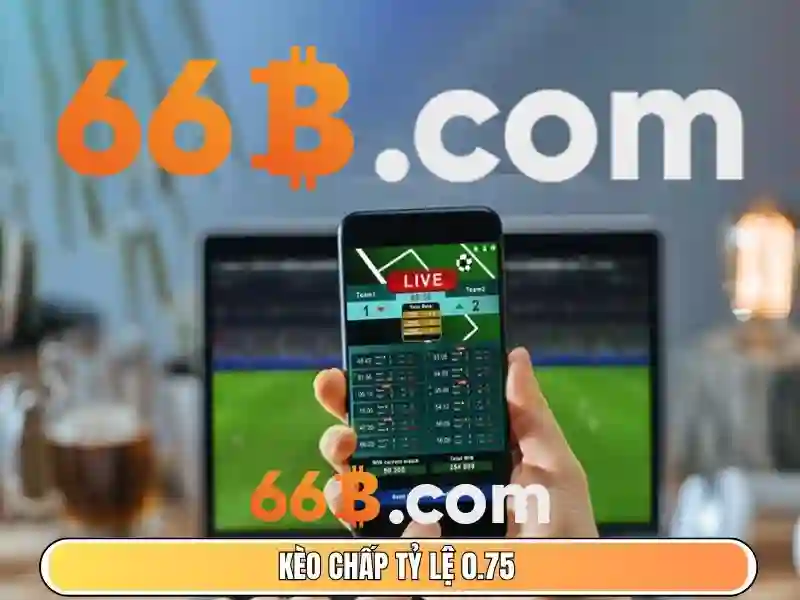 66b stgb: Khám phá giá trị thương hiệu và cộng đồng