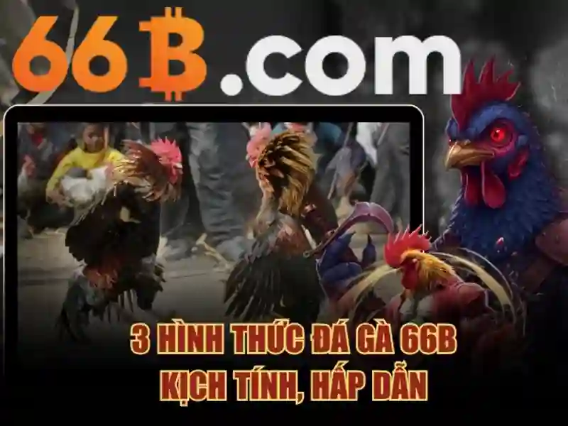 66b: Khái niệm, lịch sử và ứng dụng
