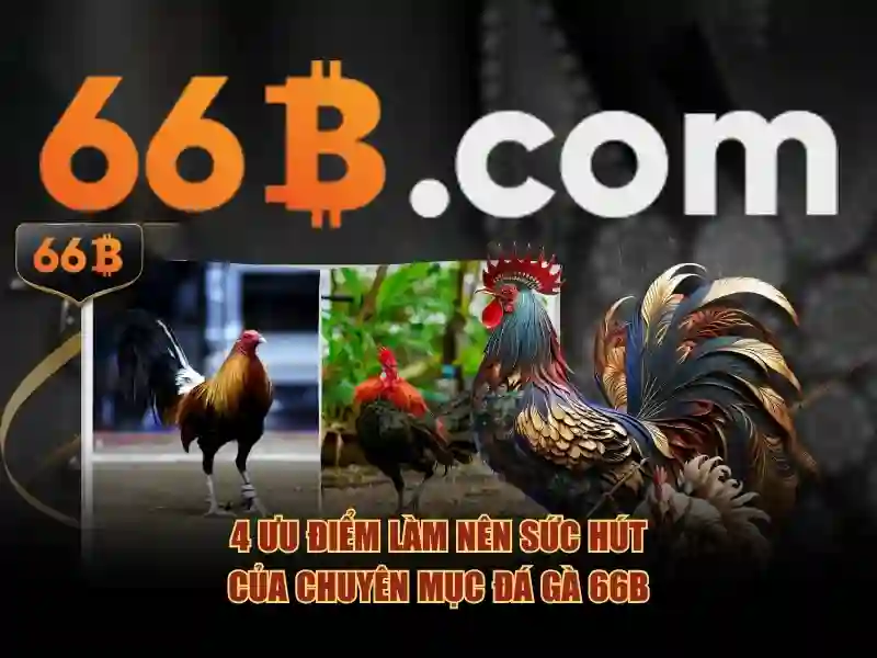 aurora 64b/66b: đột phá công nghệ và trải nghiệm
