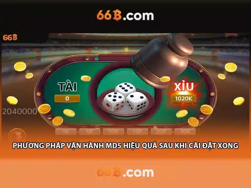 66b nguyễn sĩ sách p15, q tân bình – Giá trị và trải nghiệm