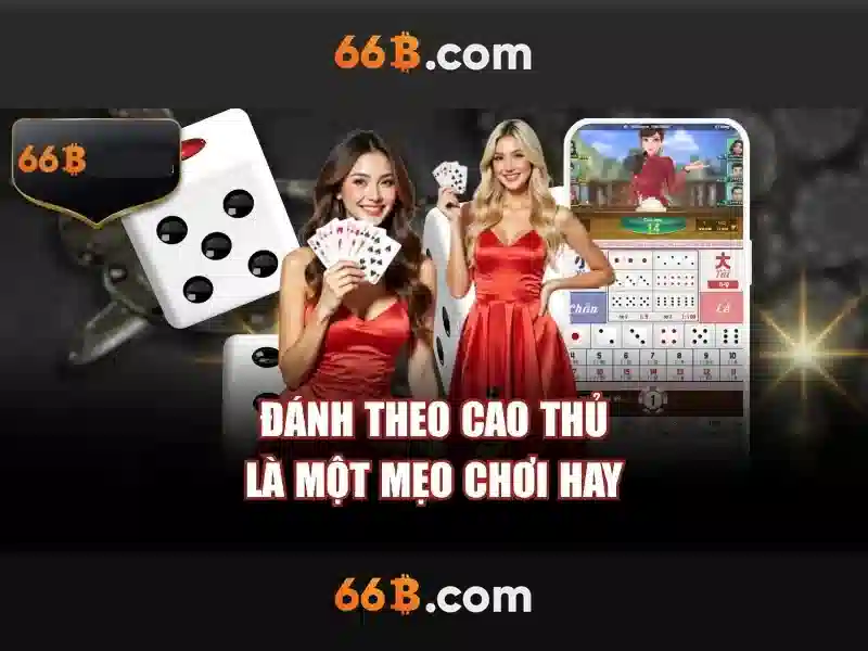 Kiến trúc và hiệu năng
