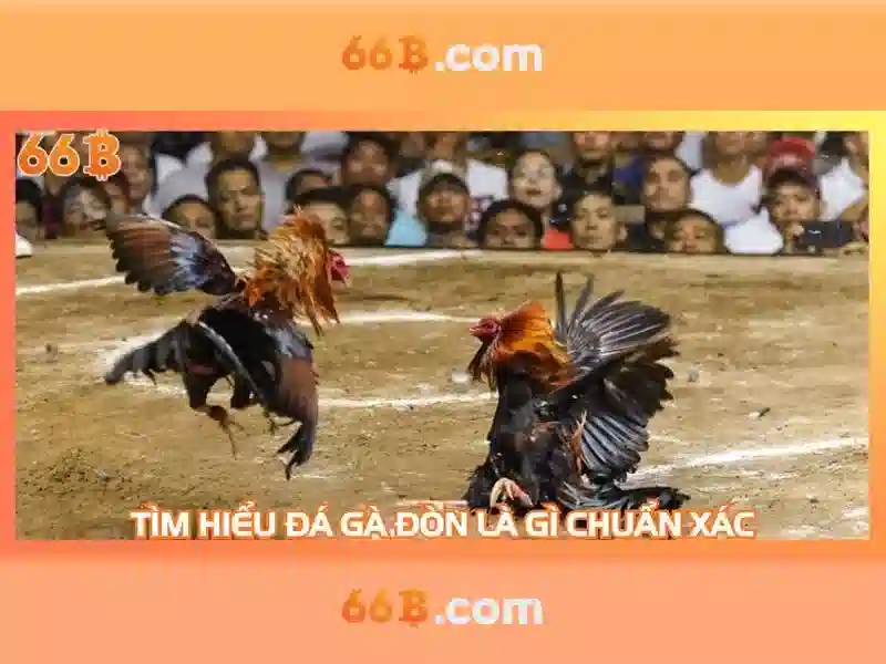 Tương lai của 66b trong xã hội số
