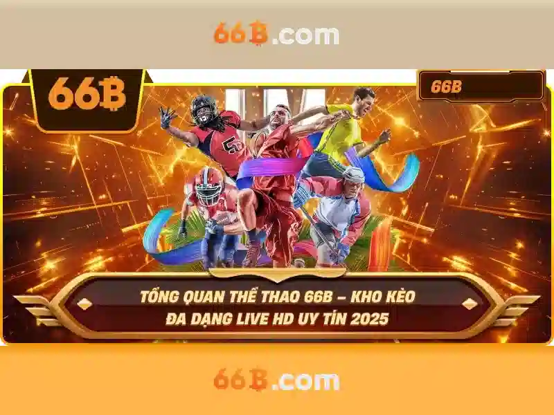 Giới thiệu về 66B