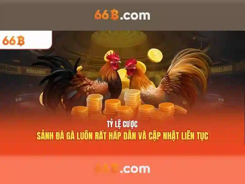 66B: một mô hình ngôn ngữ có 66 tỷ tham số và những điều cần biết