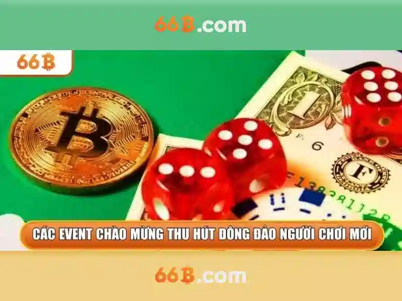 Sân 66b triều khúc: hành trình trải nghiệm đỉnh cao