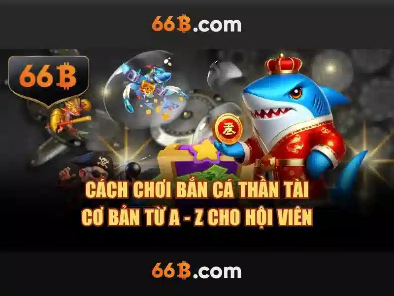 66B là gì?