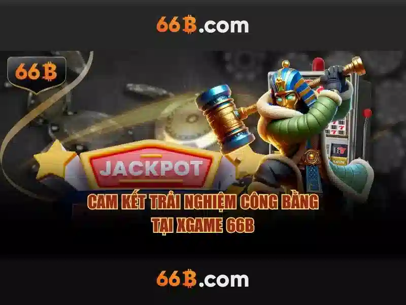 Hiệu suất và đánh giá