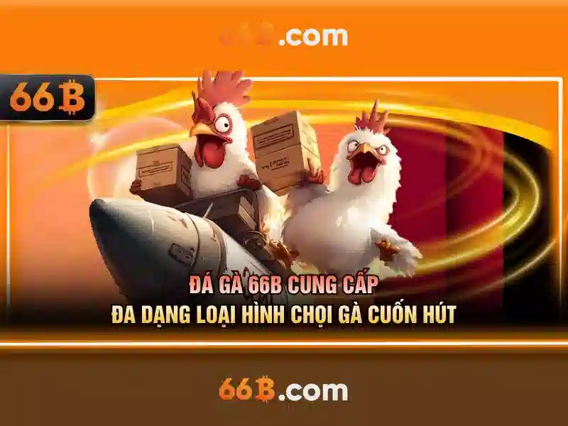 66b là gì và vai trò của nó trong công nghệ số