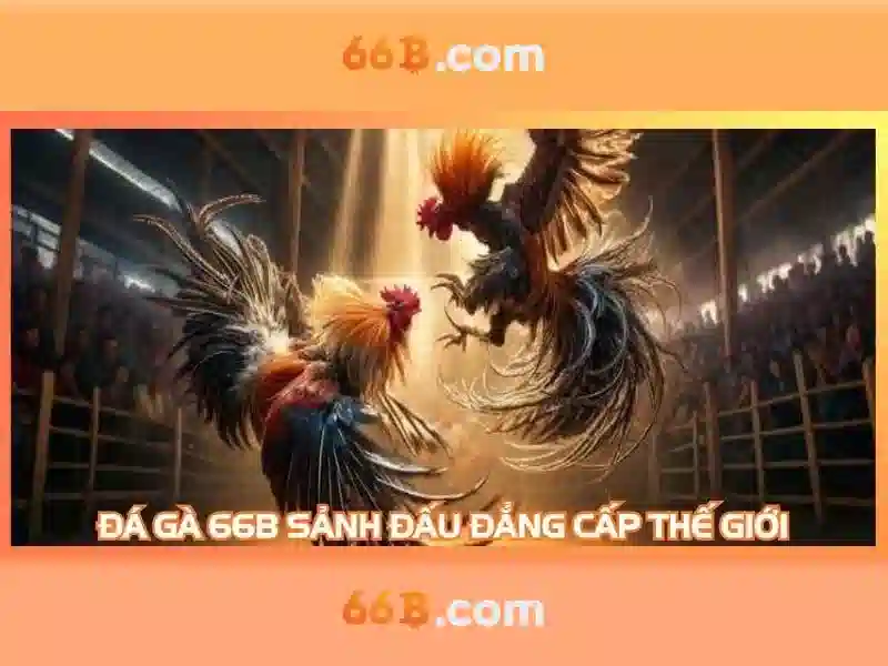 66B: Khái niệm và ứng dụng trong công nghệ hiện đại