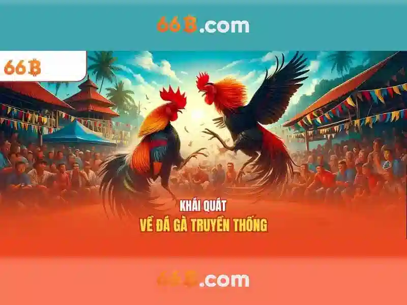 66b cập nhật tổng quan