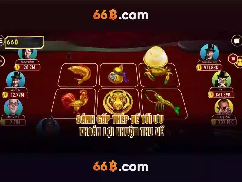 66b hoạt động bao lâu – khám phá hành trình và trải nghiệm