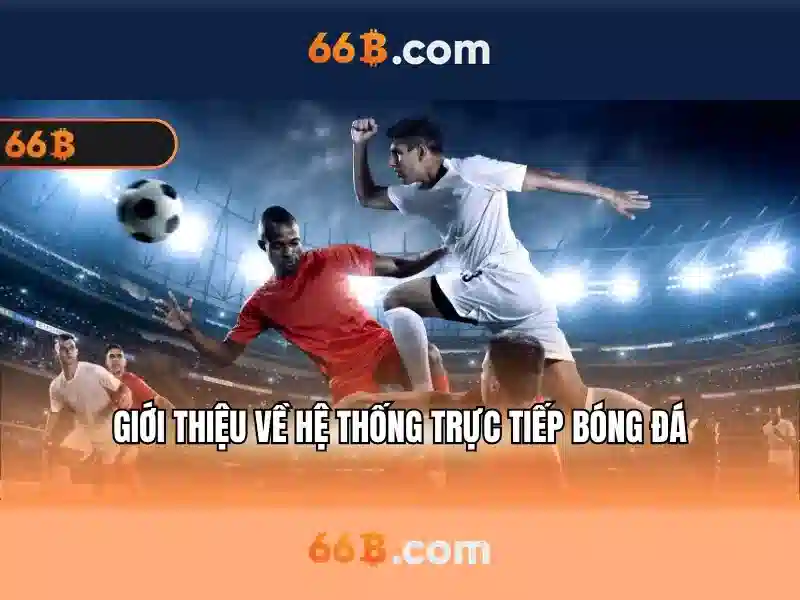 Kiến trúc tổng quan của 66b