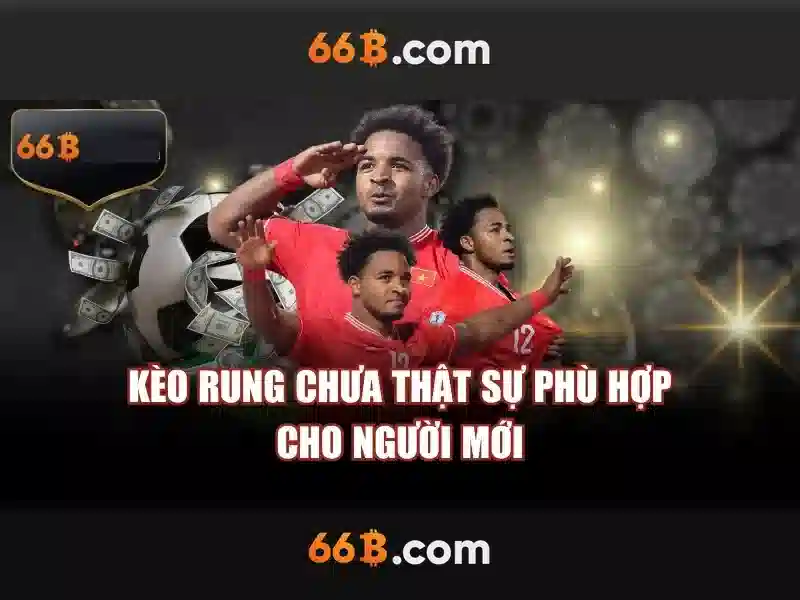 Trải nghiệm người dùng và phản hồi cộng đồng