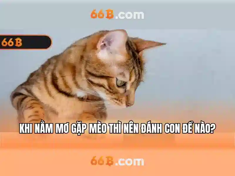 66b: một khái niệm công nghệ và ứng dụng