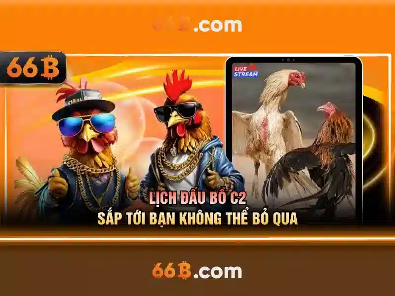 Kiến trúc và tham số của 66b