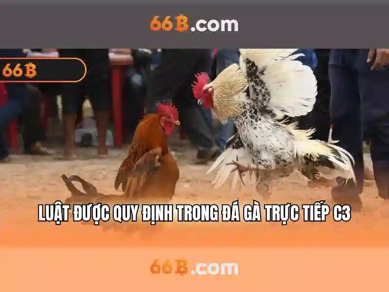 Ứng dụng thực tế