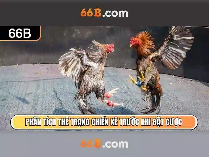 66b: một ký hiệu số và hành trình của nó