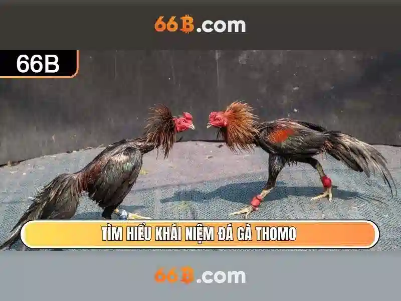 Lược sử và nguồn cảm hứng