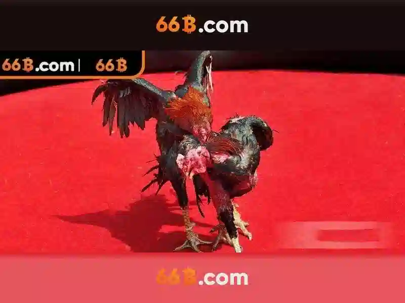 Giới thiệu về 66b