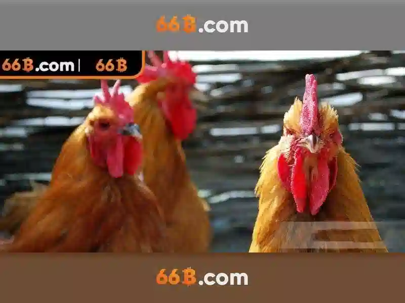 66B: Khám phá Mô hình Ngôn ngữ 66B