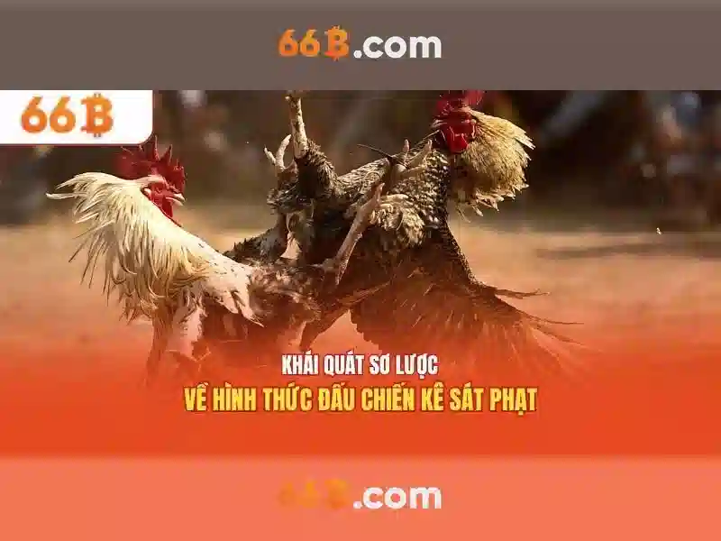 Đào tạo và dữ liệu