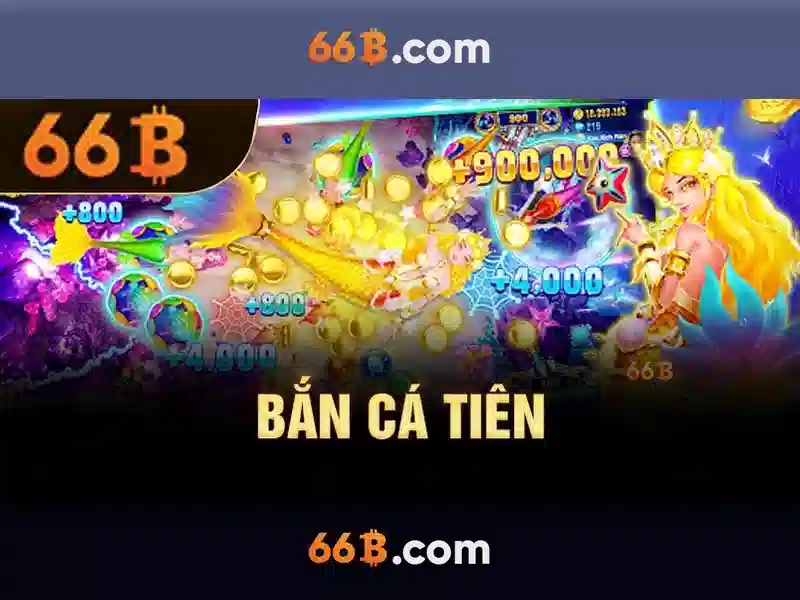 66b là gì