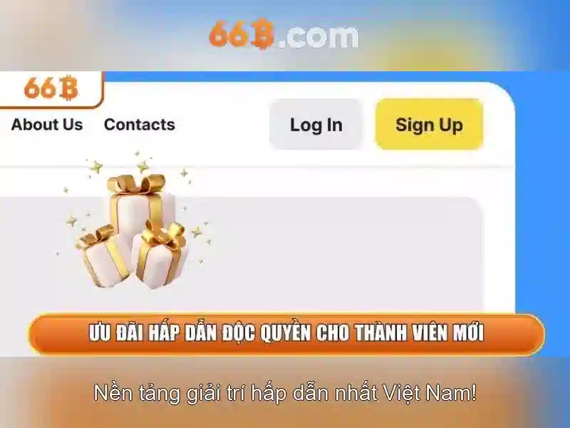 66B trong thế giới số