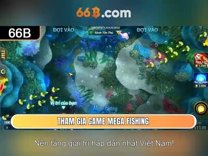 Cấu trúc và quy mô