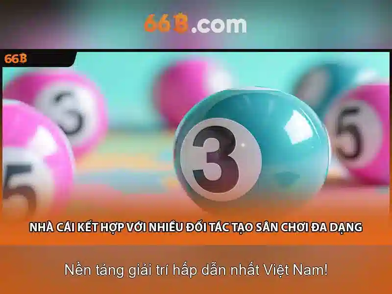66b: Cuộc hành trình khám phá một khái niệm liên ngành