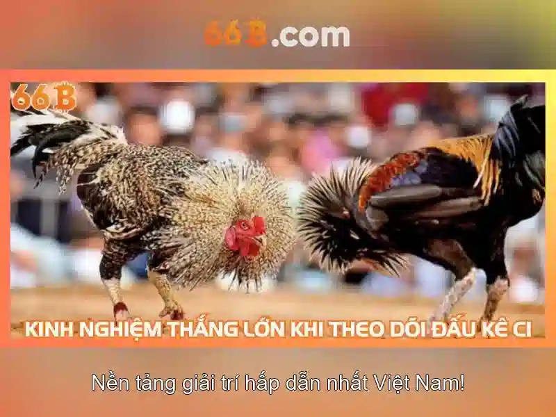 OPT-66B là gì?