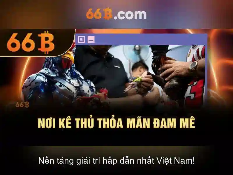 Ứng dụng của 66b trong công nghệ