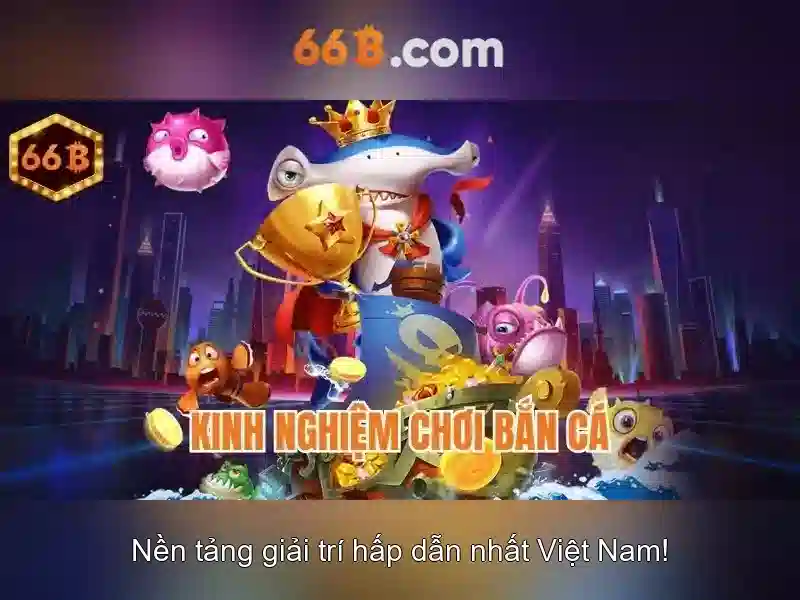 Khái niệm liên quan và mở đường nghiên cứu tương lai