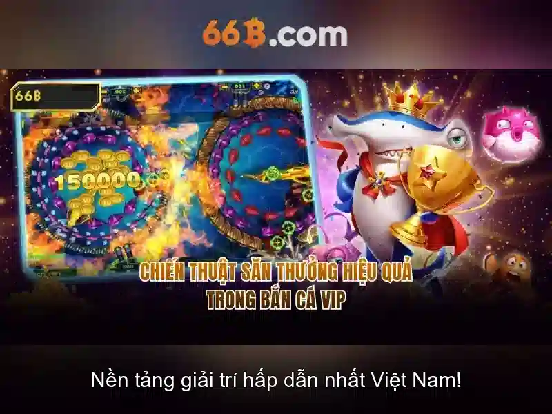 66B là gì và những điều cần biết