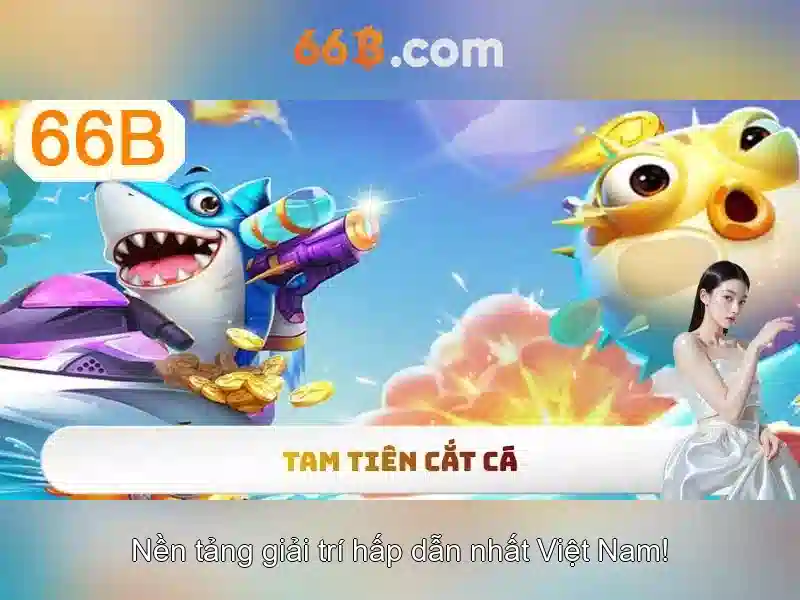66B là gì