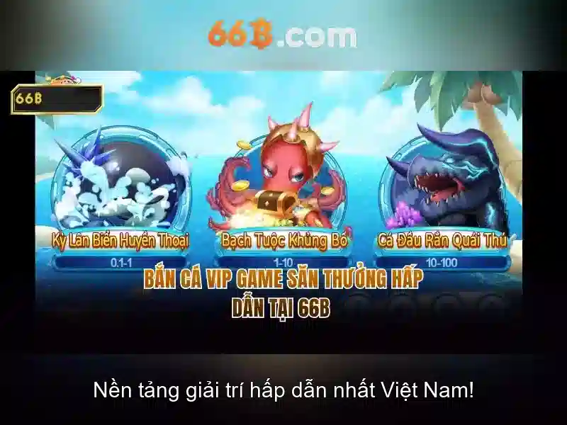 66b là gì?
