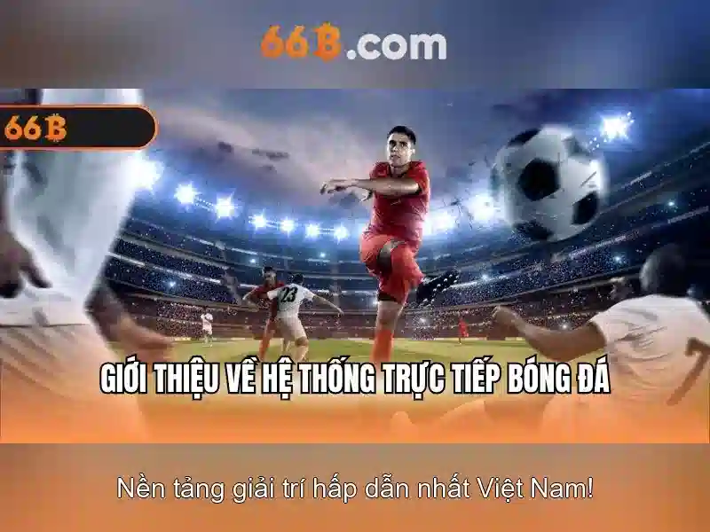 Giới thiệu về 66B\n\n