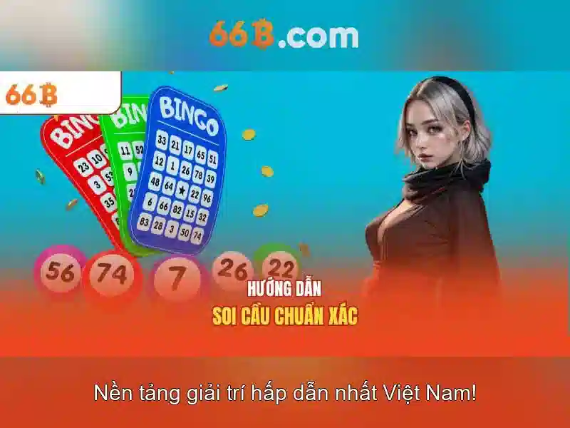 66b là gì?\n