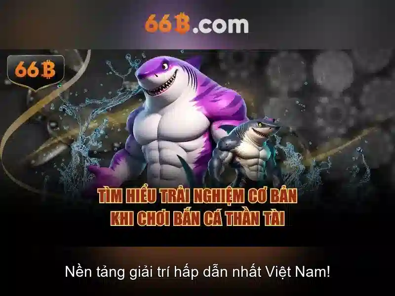 66b: Khái niệm, ứng dụng và tương lai