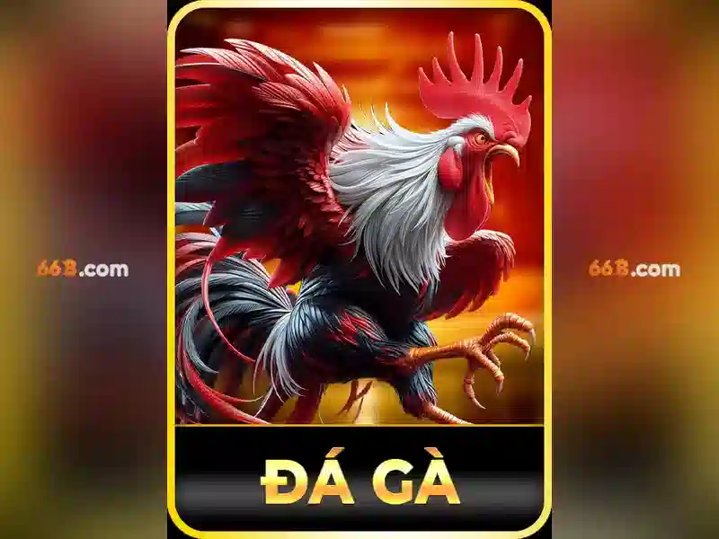 66b: khái niệm, nguồn gốc và ứng dụng