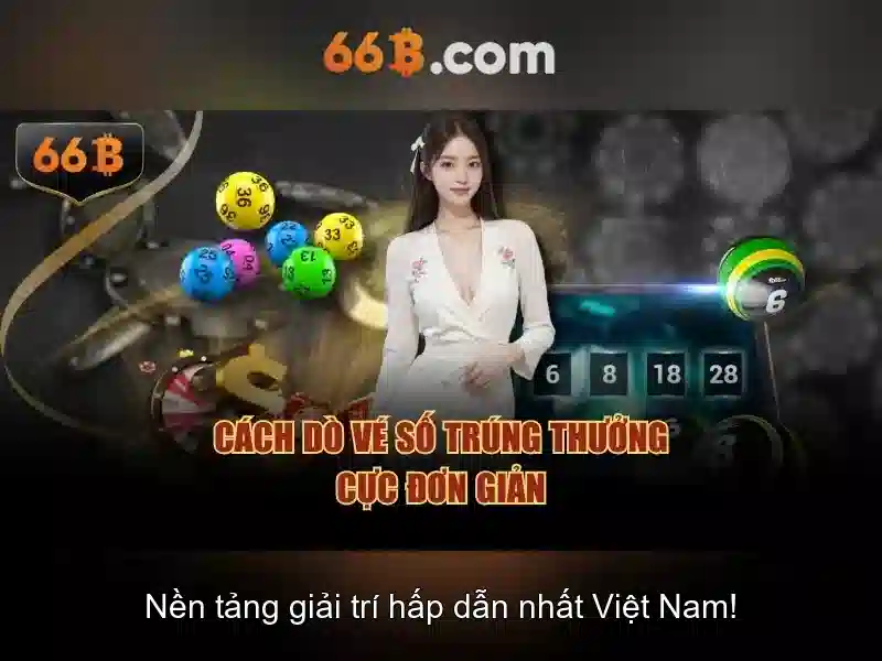 66B là gì?