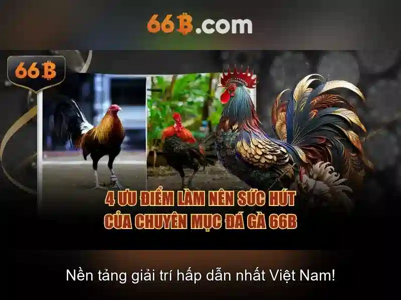 66B: Khai phá mô hình quy mô lớn trong kỷ nguyên số