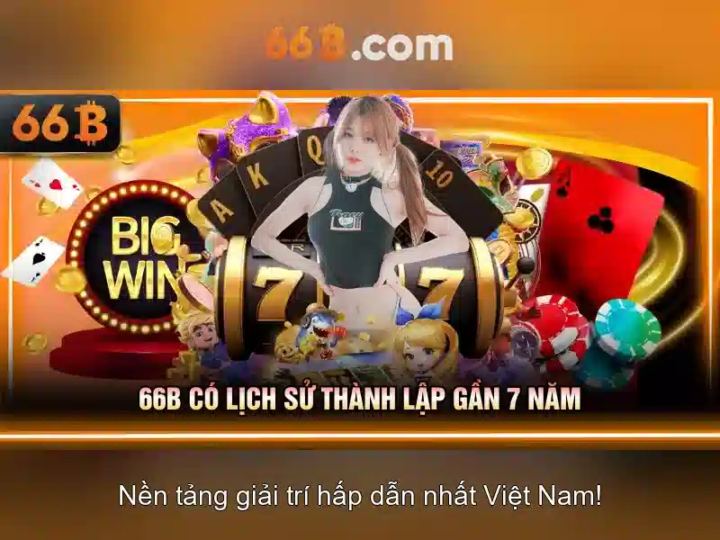 66B là gì\n