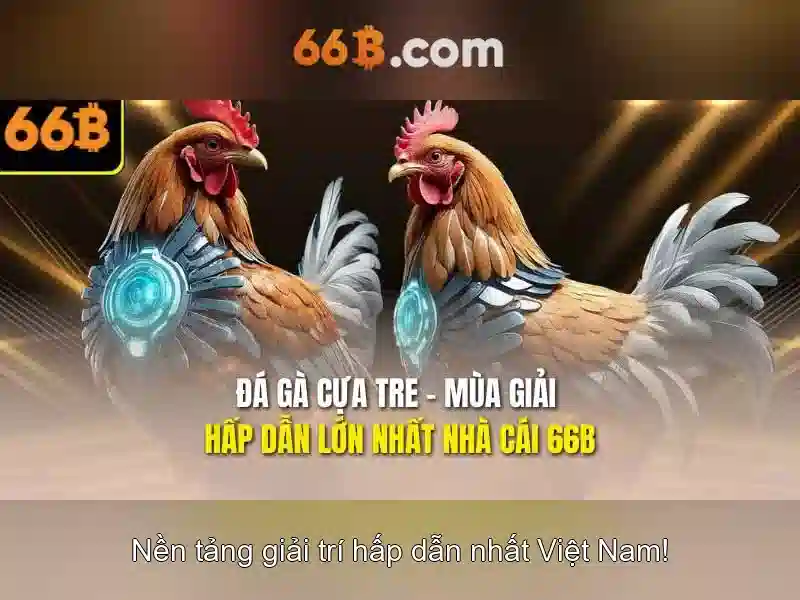 Giới thiệu về 66B
