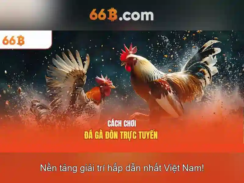 Đặc tính chính của 66b