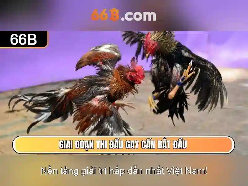 Đào tạo và dữ liệu\n