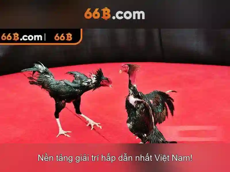 Kiến trúc và tham số