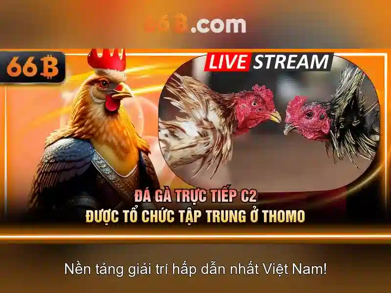 Giới thiệu về 66B