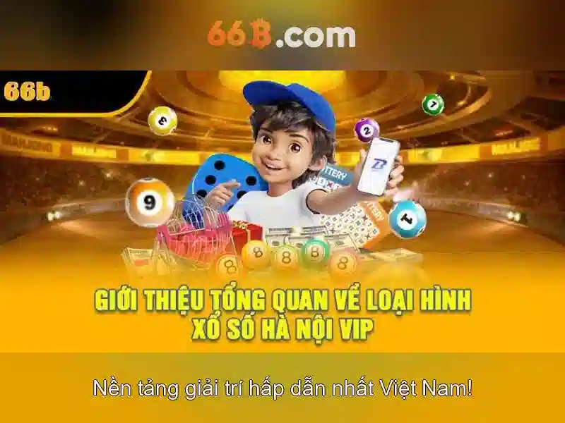 Khái niệm cơ bản của 66B